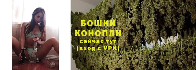 кракен как зайти  цена   Семилуки  Канабис OG Kush 